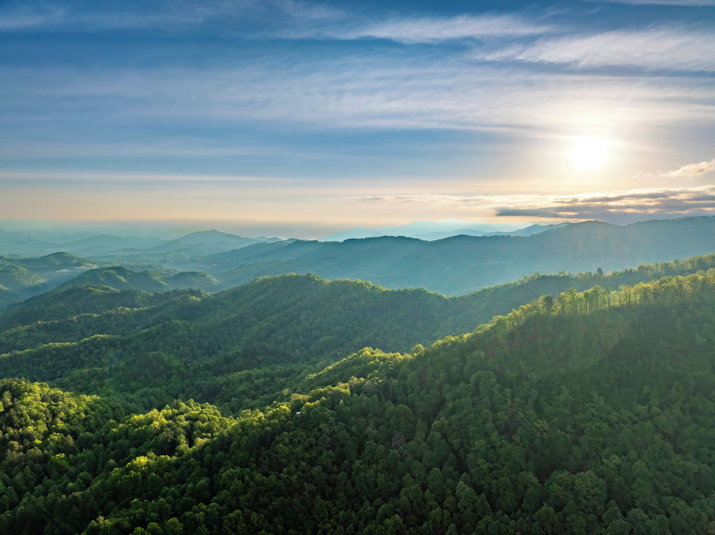 Un paisaje montañoso con bosques densos y cielo despejado.