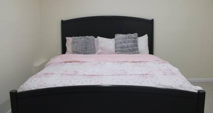 Cozy 1-bedroom basement apartment in charming Covington with AC.