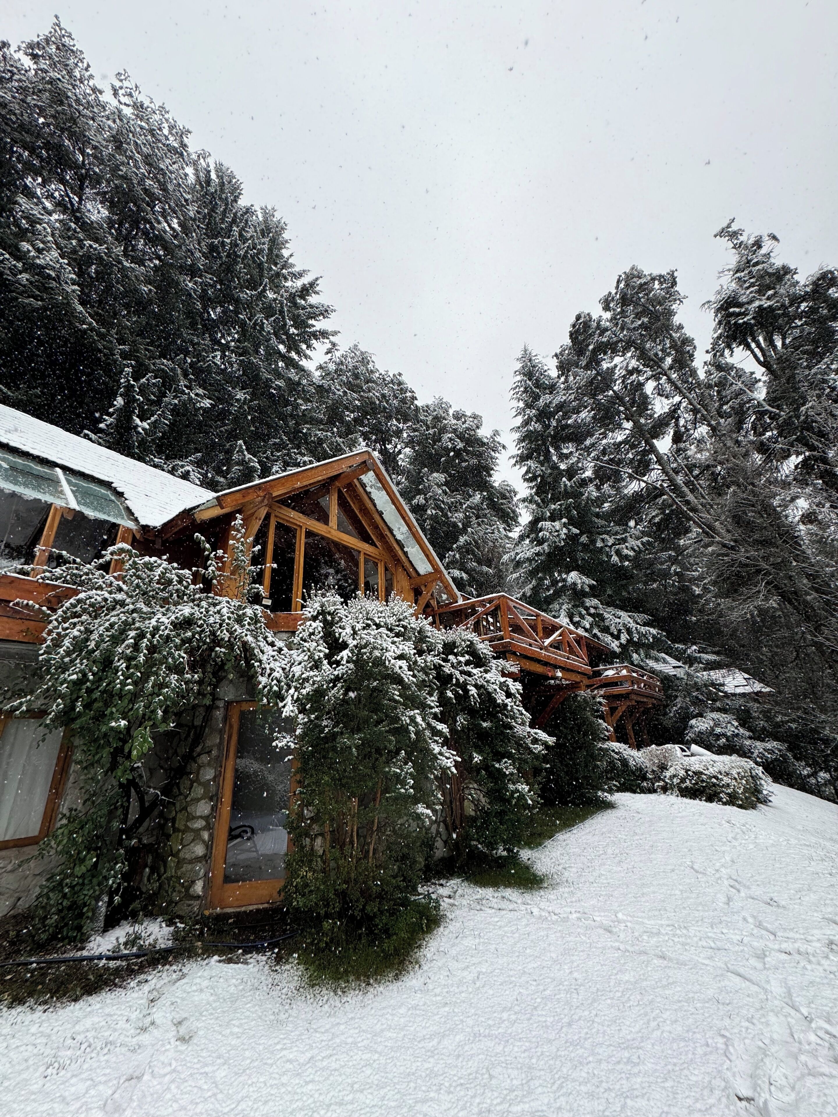 A wooden cabin with a glass extension, surrounded by snow-covered trees.