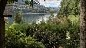 Vista de un lago rodeado de bosque denso y montañas.