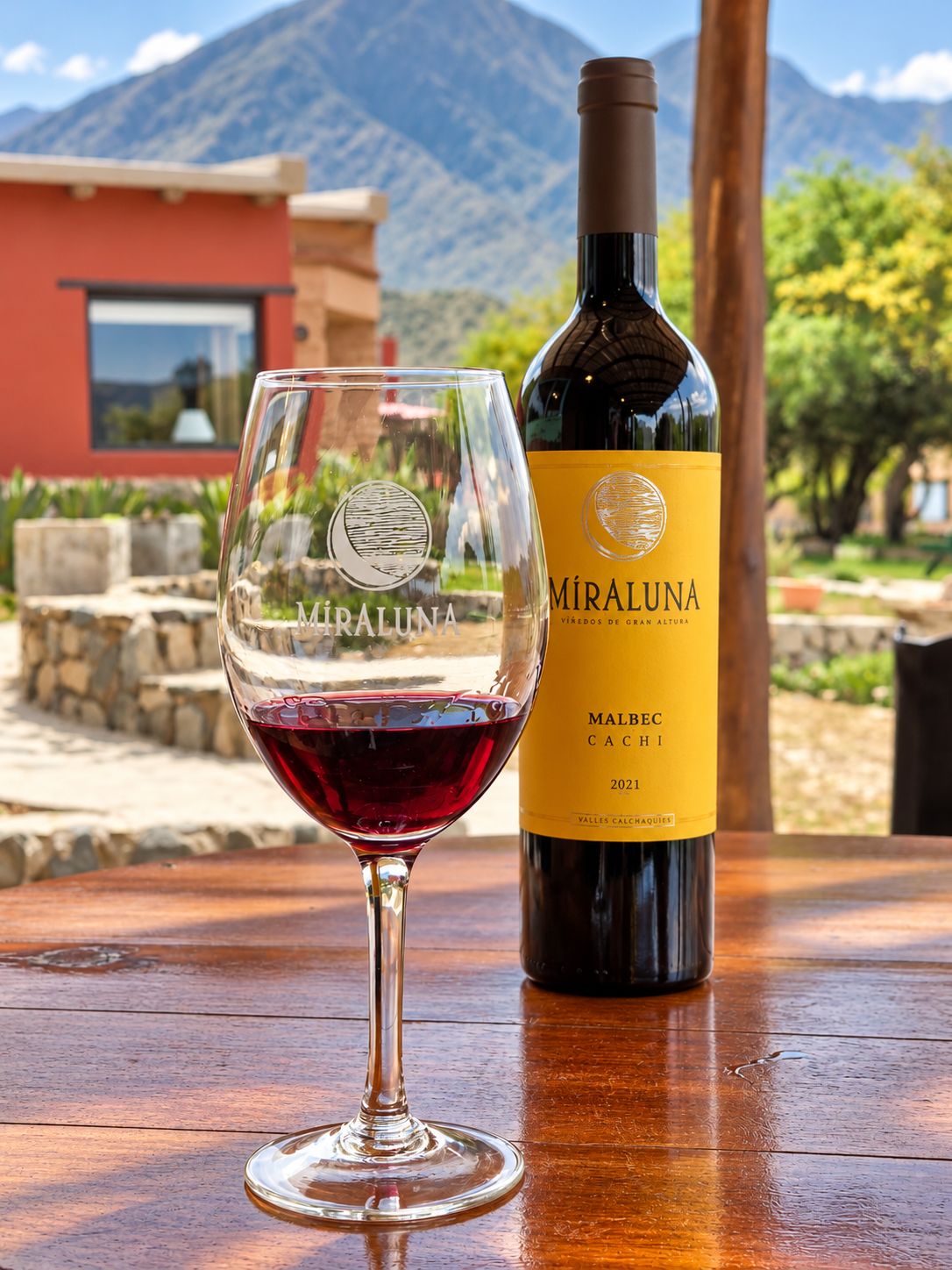 A wine bottle and glass on a wooden table with a mountain view in the background.