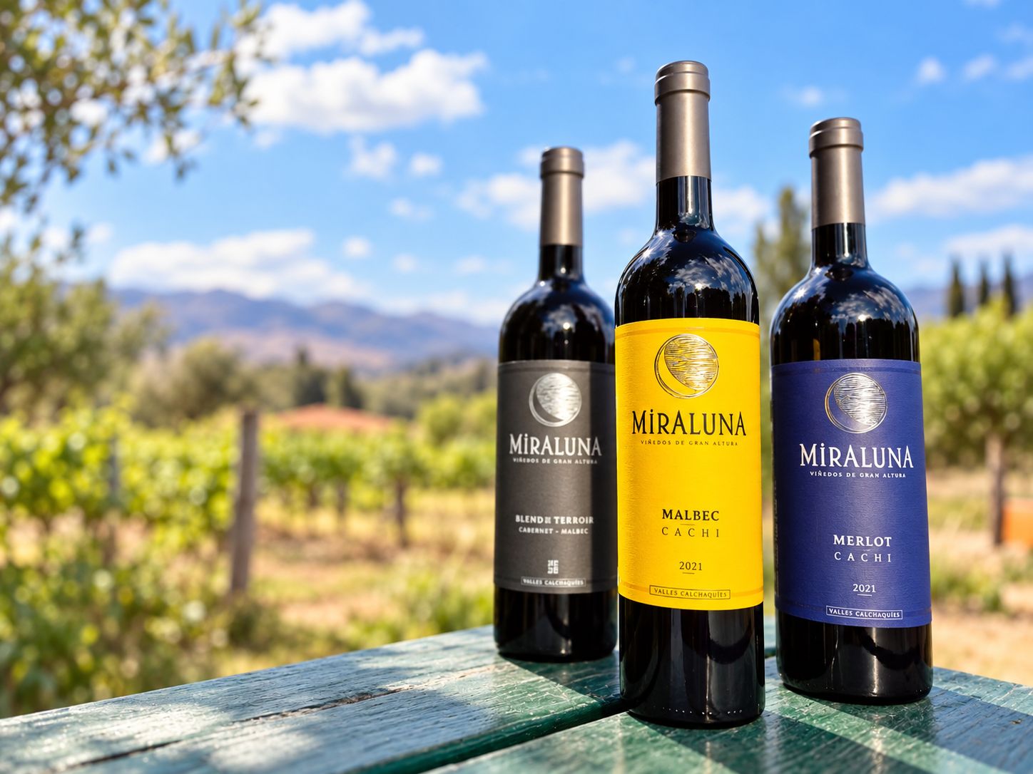 Tres botellas de vino sobre una superficie de madera, con un viñedo y montañas al fondo.