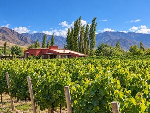 Exterior - Miraluna (Cachi)
