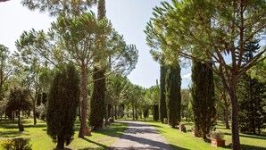 A pathway flanked by tall trees and potted plants in a park-like setting. - Apartment '1' Borgo San Giorgio (Grosseto)