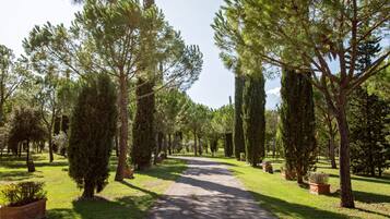 Parco della struttura