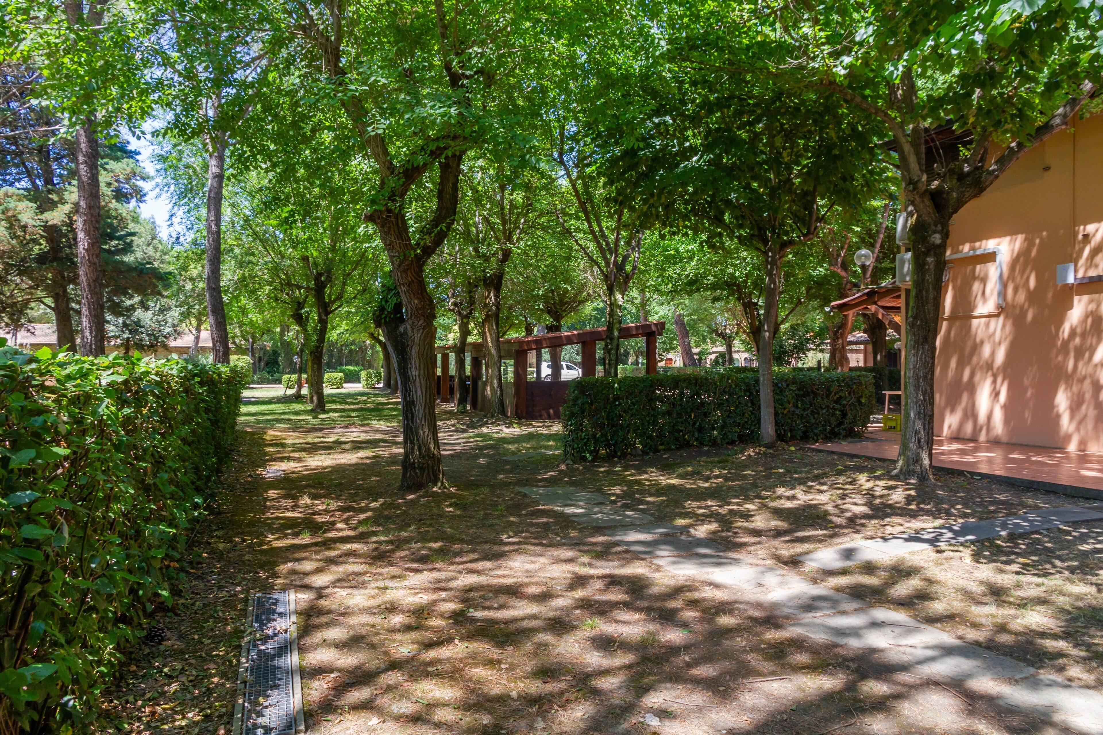 A pathway lined with trees and a building with a red roof.