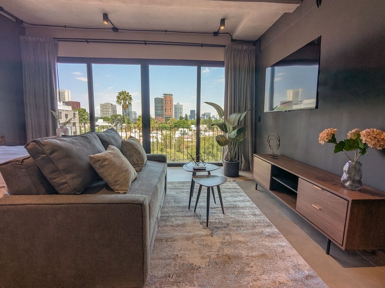 TV