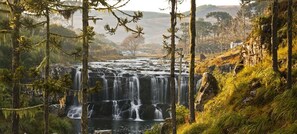 Ein Wasserfall, umgeben von Bäumen und einer felsigen Landschaft.
