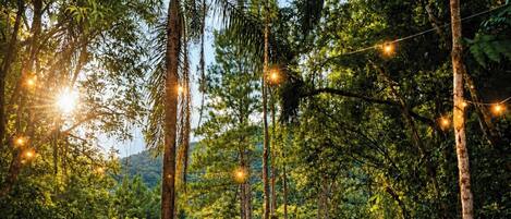เคบินสำหรับครอบครัว, เครื่องปรับอากาศ, วิวทะเลสาบ | ลานระเบียง/นอกชาน