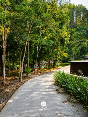 Jardín