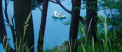 A serene lake with a boat and tall trees in the foreground.