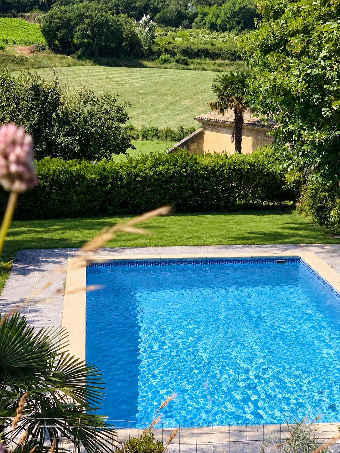 A rectangular swimming pool with clear blue water, surrounded by a tiled deck and a low hedge.