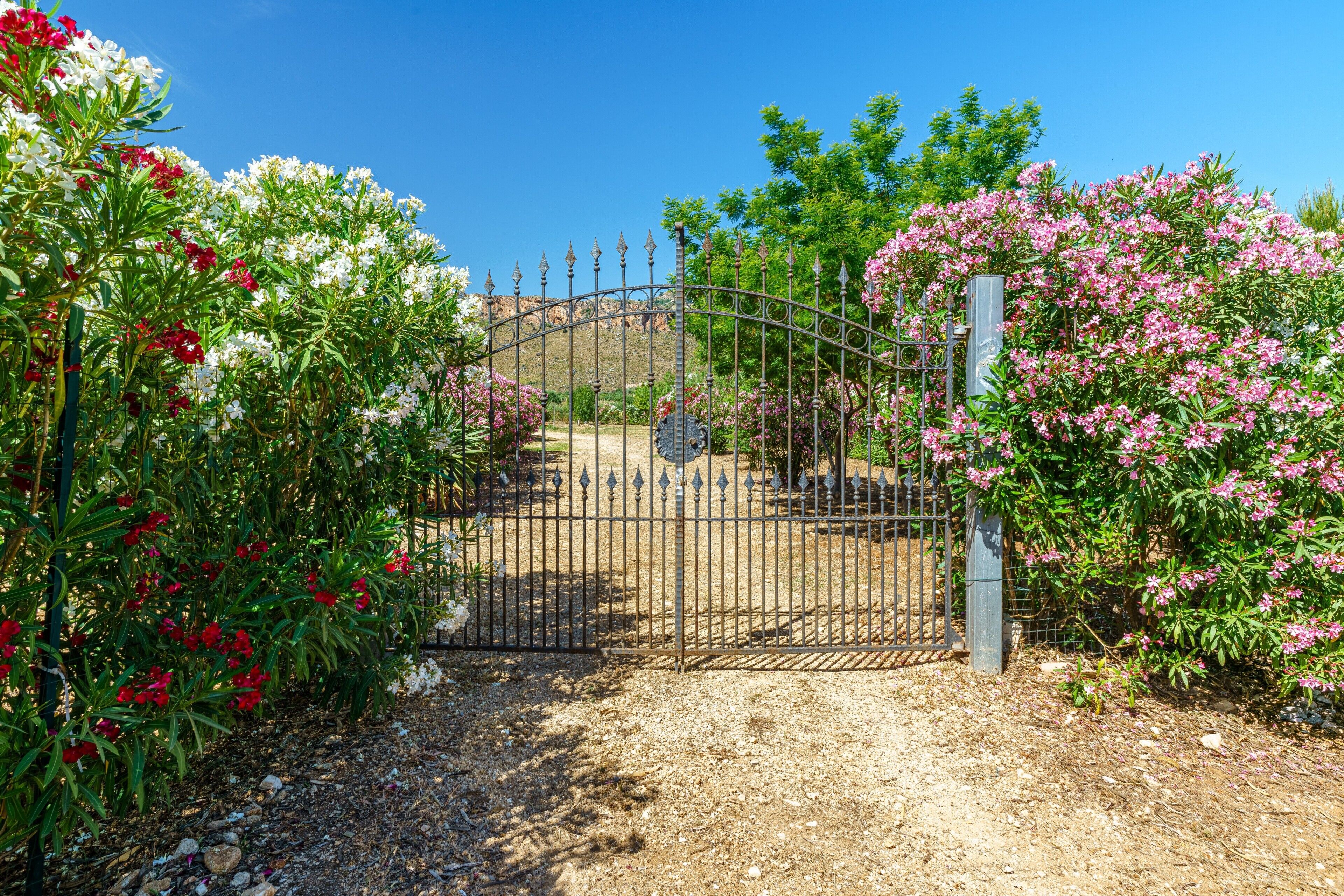 Jardines del alojamiento