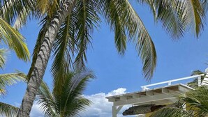 Uma trilha leva a uma casa de praia com varanda branca, palmeiras e vista clara do oceano.