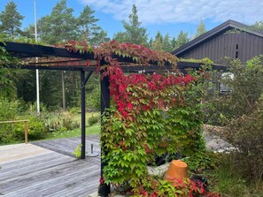 Una terraza de madera con un pérgola cubierta de follaje verde y rojo, un edificio rústico al fondo y un banco de madera.