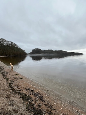 A calm lake with a dog walking along the shore, surrounded by trees and hills. - Large house Drymen Village with Health club access (Drymen)