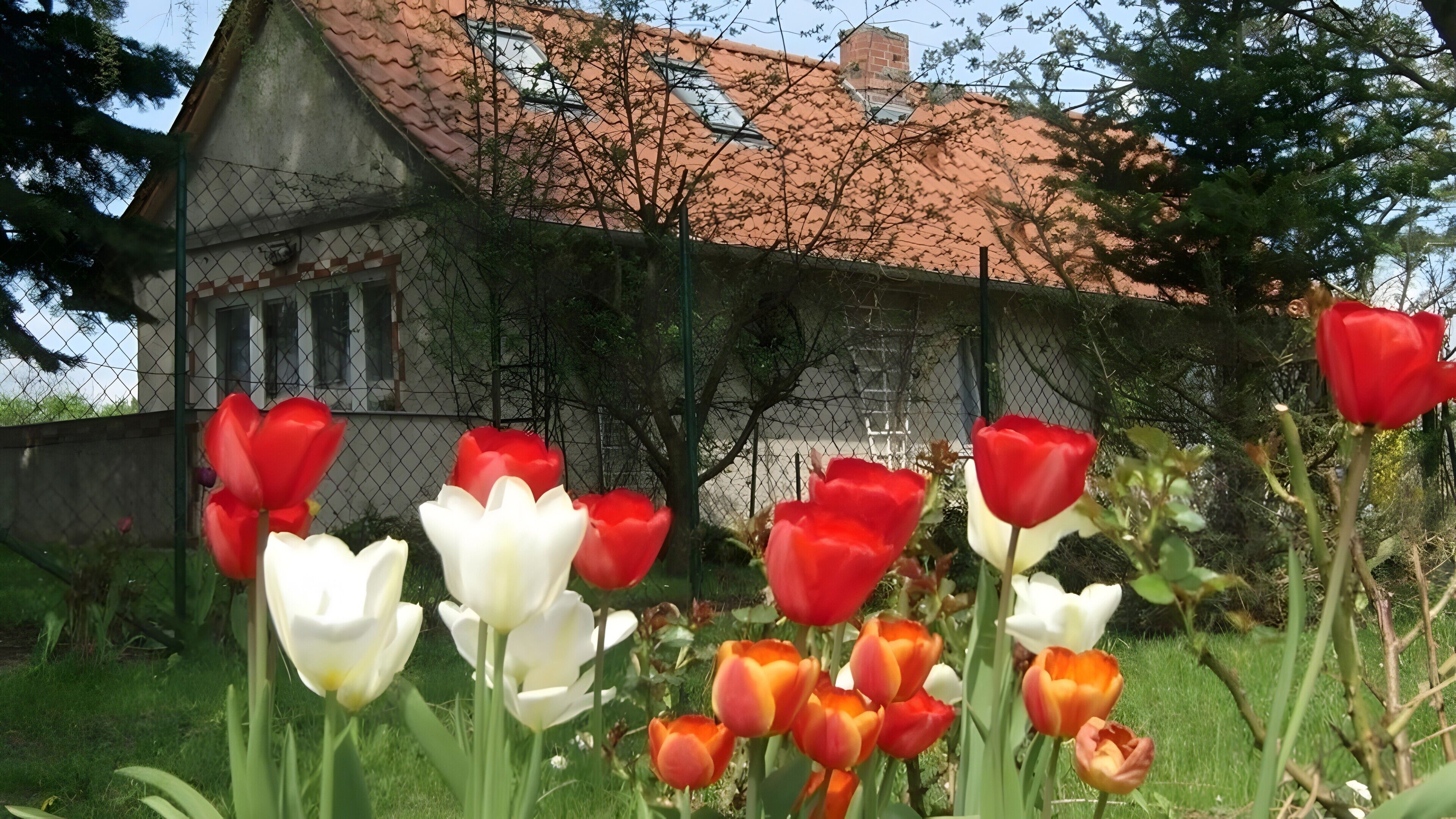 Außendetails