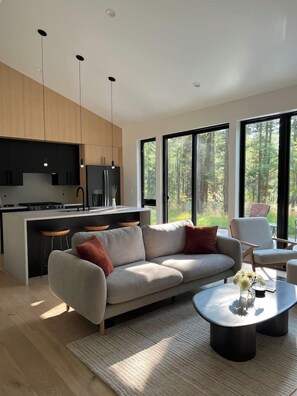 Fernseher, Kamin