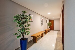 A hallway with a potted tree, wooden benches, and framed artwork on the walls.
