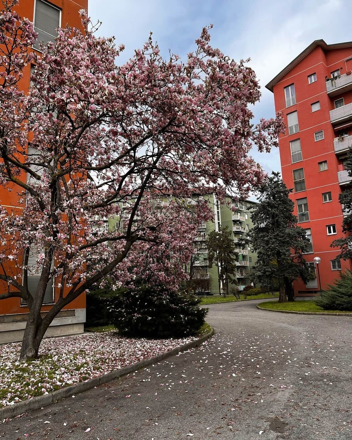 Boendeområde