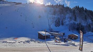 Sneeuw- en skisporten