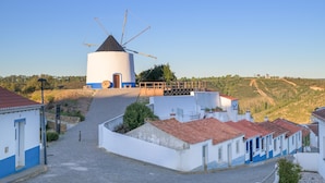 A traditional windmill, cobblestone streets, and white buildings with blue trim.