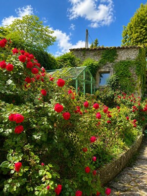 A garden with red roses, a stone building, and a green greenhouse. - Le Mas d'Eylieux - House with swimming pool - South Ardèche (Saint Montan)