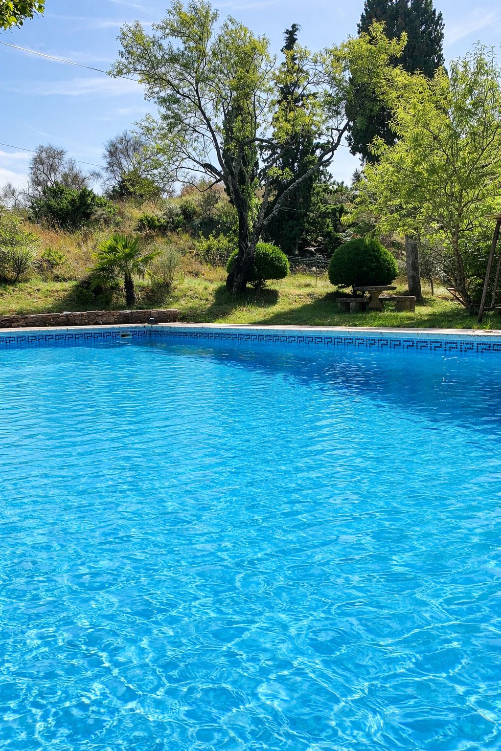 A clear blue swimming pool surrounded by trees and greenery.
