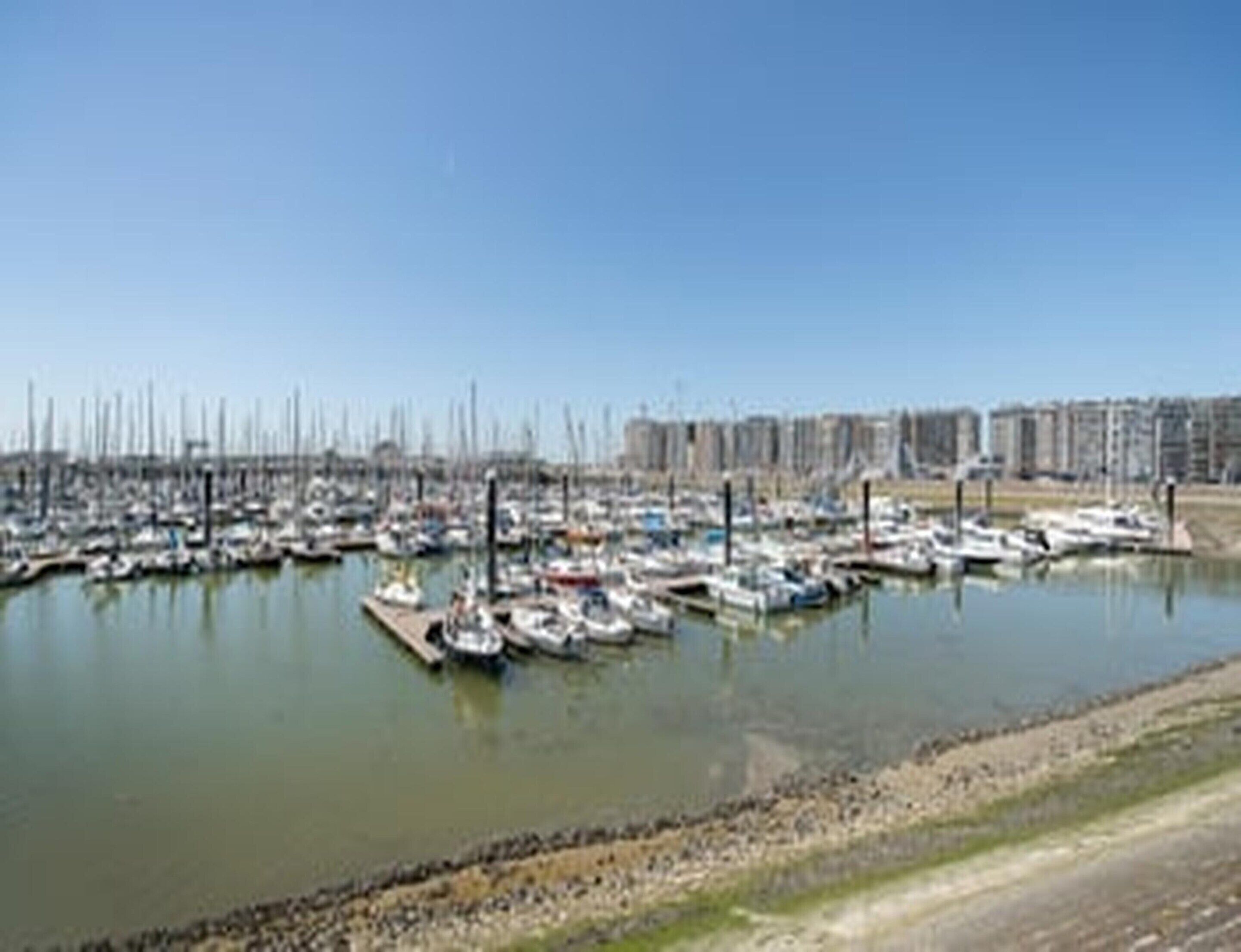 Un puerto deportivo con numerosas embarcaciones amarradas, rodeado de un cielo despejado y un horizonte urbano distante.