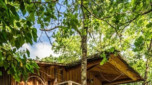 A wooden treehouse with a wooden staircase and a small roofed platform. - Cabane 3 étoiles - Piscine  - ccbfh0c (Saint-Amand-de-Coly)