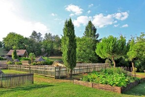 Un jardin clos avec un grand arbre, une clôture en bois et une structure en bois.