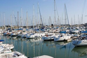 Ein Yachthafen mit zahlreichen Segelbooten.