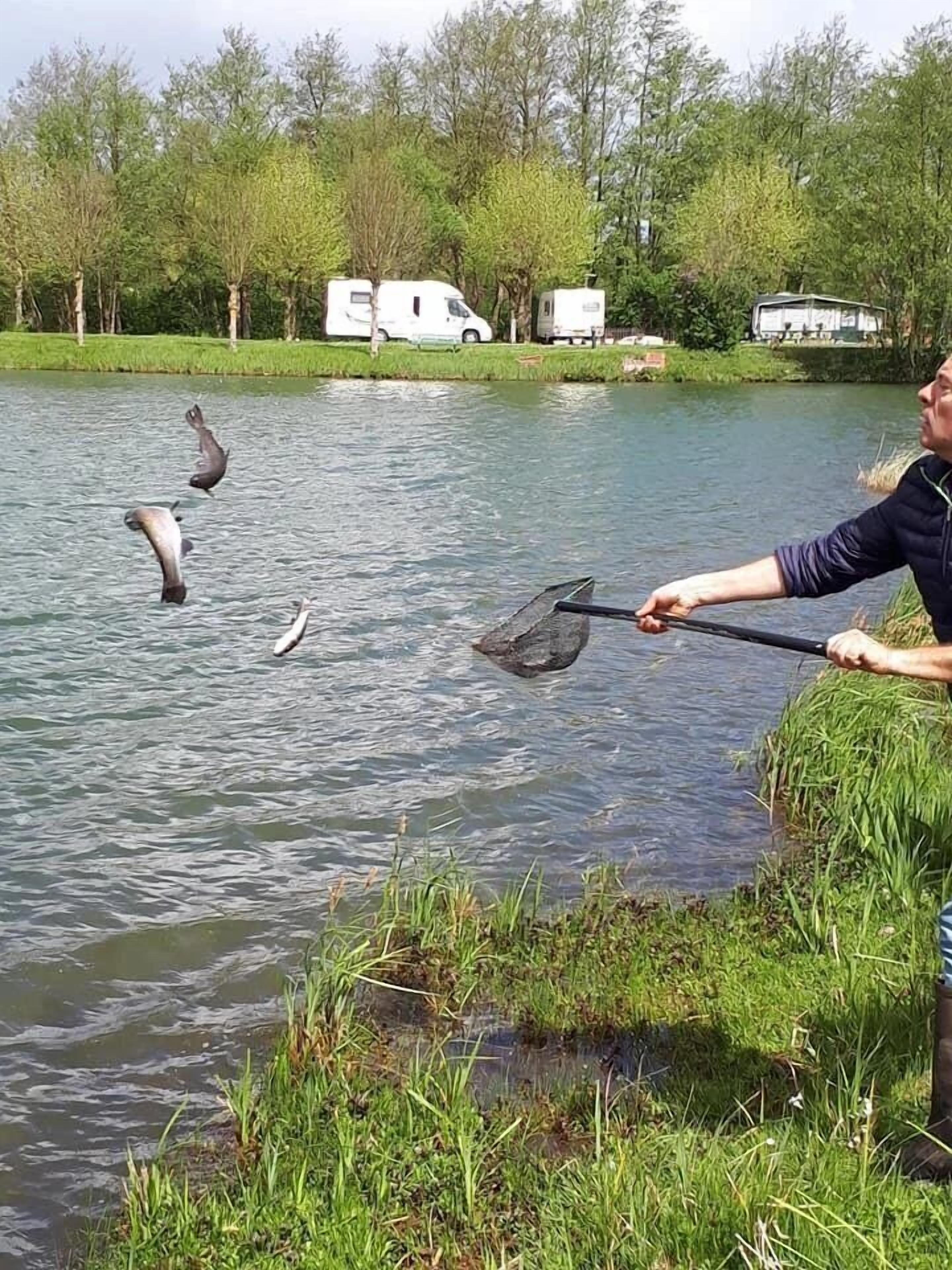 Divers