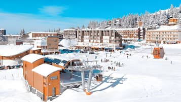 Sneeuw- en skisporten