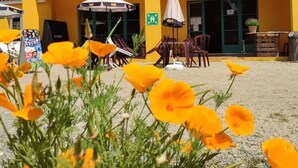 Un bâtiment jaune doté d’une terrasse, une enseigne de sortie verte et un ciel dégagé.