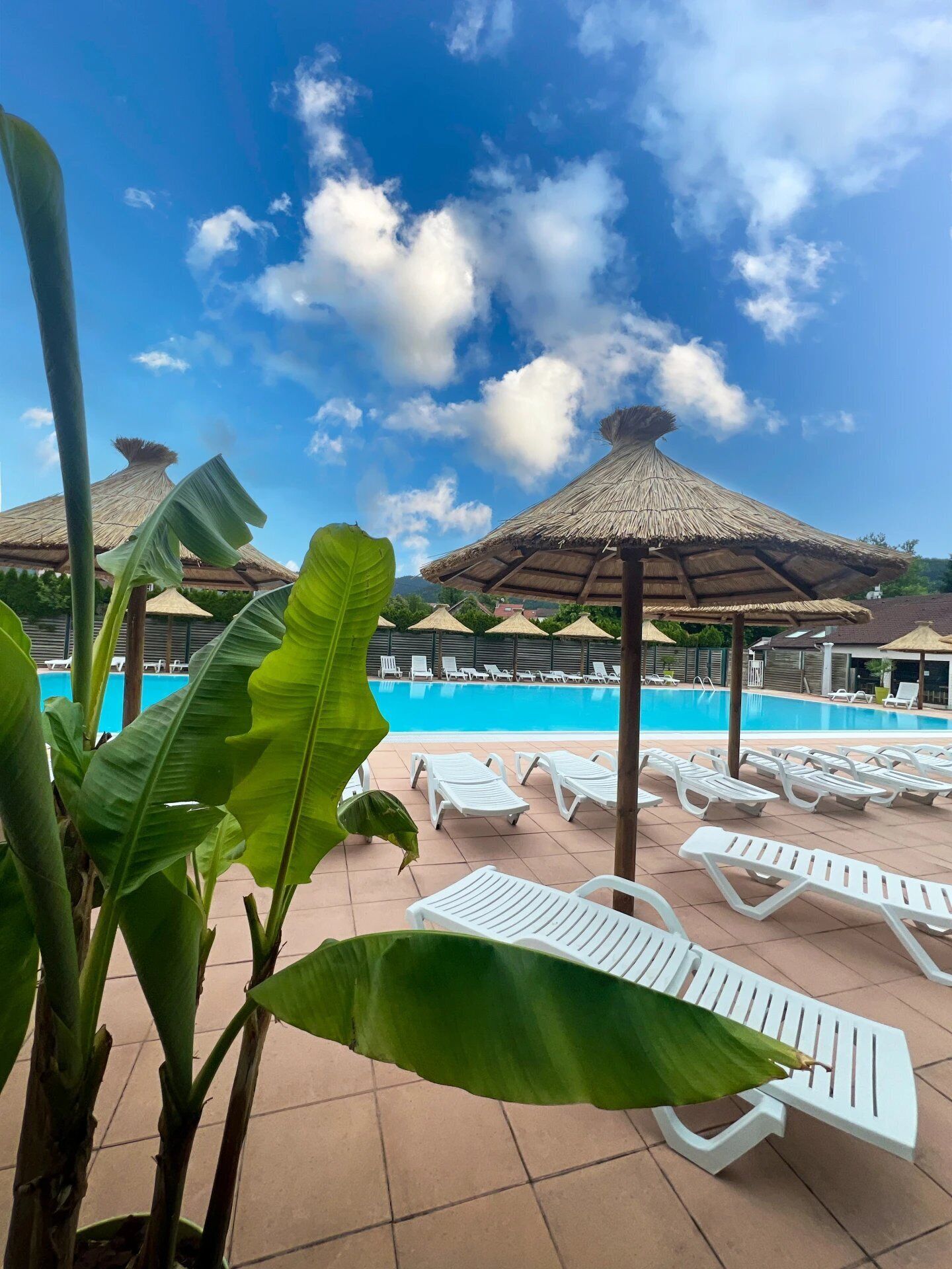 Piscine couverte