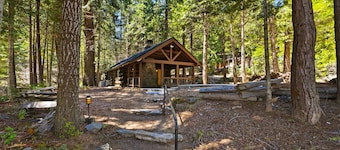 Charming Log Cabin, 2 mi to Yosemite South Gate.