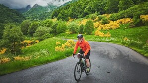 Un cycliste sur une route bordée d’une végétation luxuriante, avec des montagnes en arrière-plan.