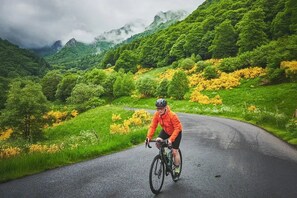Ein Radfahrer auf einer Straße, umgeben von üppiger Vegetation und Bergen im Hintergrund.