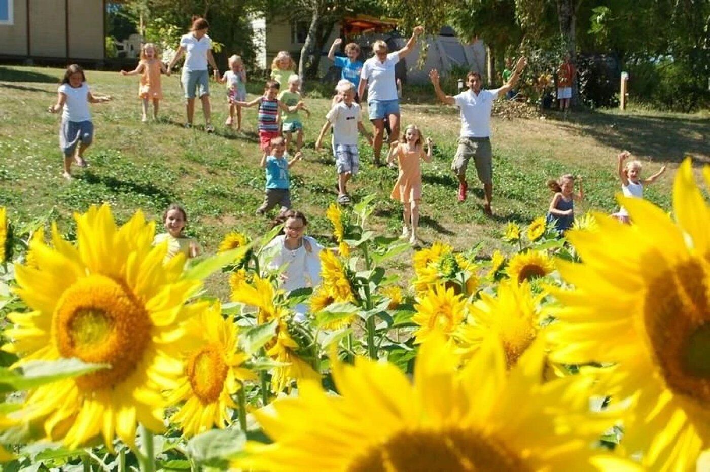 A group of people in a field with sunflowers.