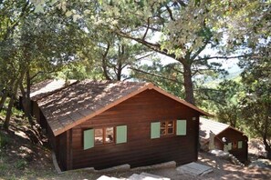 Une cabane en bois, dotée d’un toit à pente, entourée d’arbres.