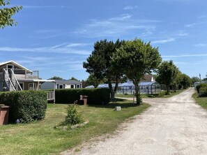 Uma estrada rural com casas, uma árvore grande e céu claro.