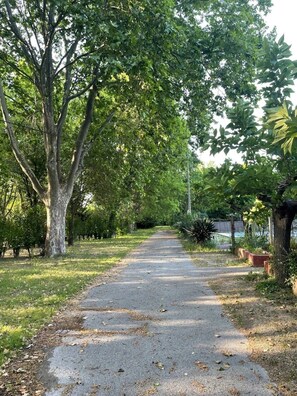 A paved pathway flanked by trees and greenery, leading to a building with a covered entrance. - Camping 2 étoiles - Piscine  - ccbfiig (Villeneuve-lès-Avignon)