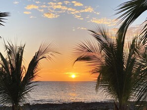 Beach - Ocean front (Little Cayman)