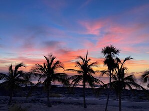 Una playa con palmeras y un cielo al atardecer.