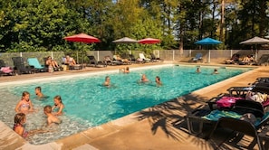 Ein Schwimmbecken mit Liegestühlen und Sonnenschirmen, umgeben von Bäumen.