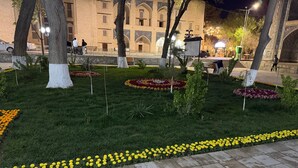 Un jardín bien cuidado con parterres, árboles y un camino pavimentado.