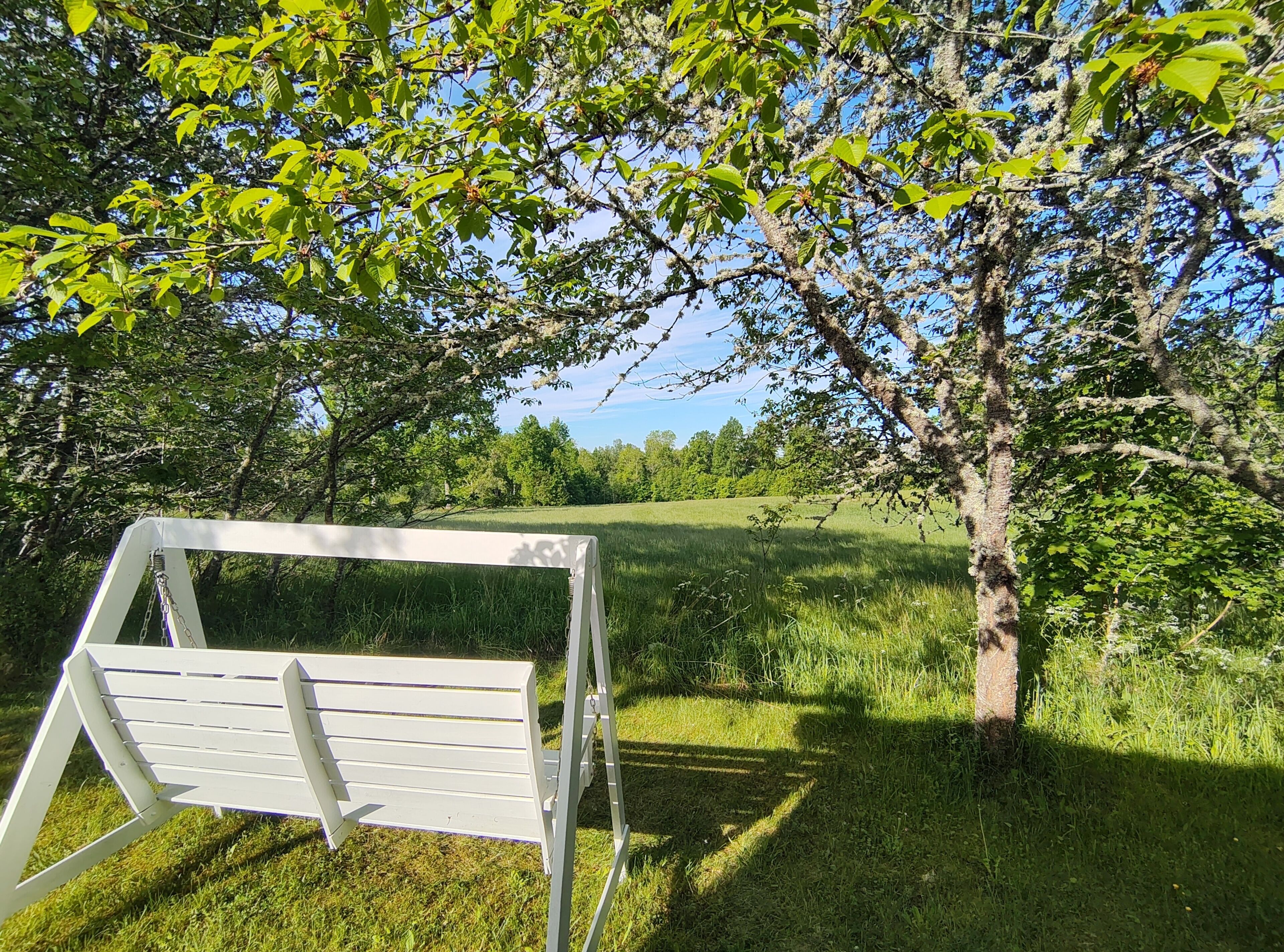 Boendeområde