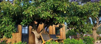 Flora Farm Cottage | Hot Tub, Creek & Fresh Eggs