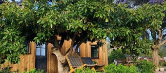 Flora Farm Cottage | Hot Tub, Creek & Fresh Eggs